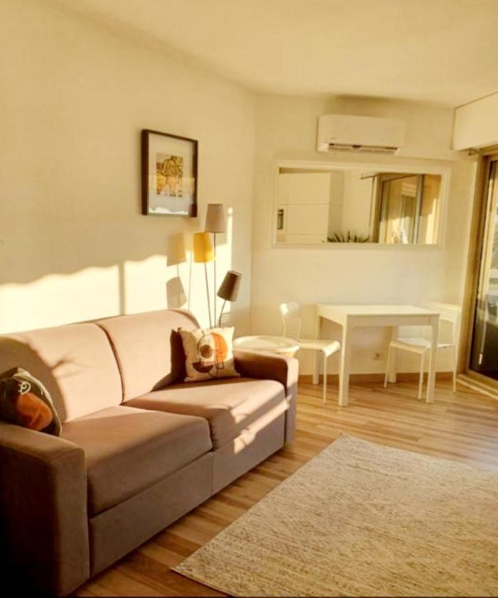 Bel Appartement A 50M De La Plage, 2 Pieces Climatisees, Parking Prive Antibes Exterior photo